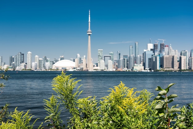 Toronto city skyline, ontario, canada