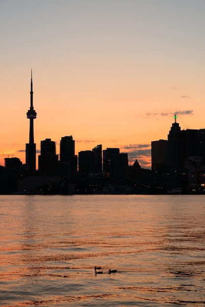 Toronto stad skyline silhouet bij zonsondergang over meer met stedelijke wolkenkrabbers.