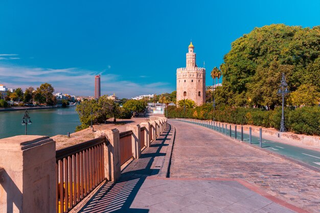 Torre del oro nel giorno soleggiato a siviglia, spagna