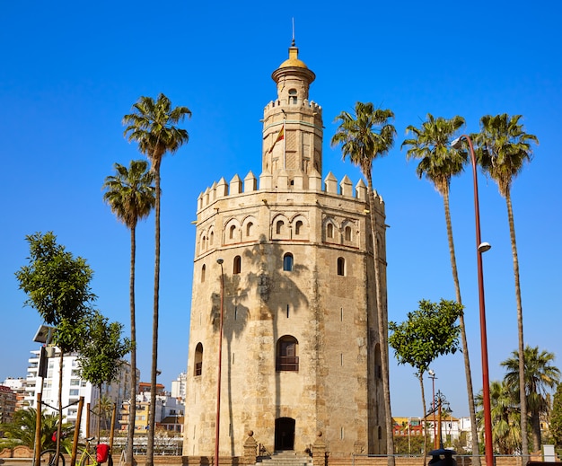 Torre del Oro toren van Sevilla in Sevilla, Spanje