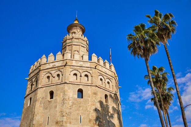 Torre del Oro toren van Sevilla in Sevilla, Spanje