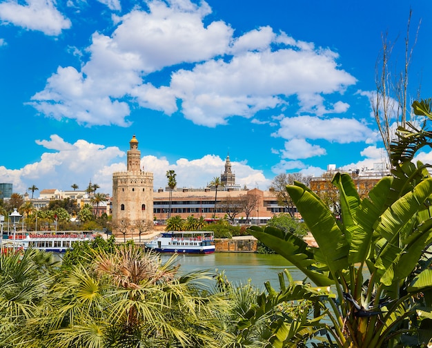 Torre del Oro van Sevilla toren in Sevilla Andalusia