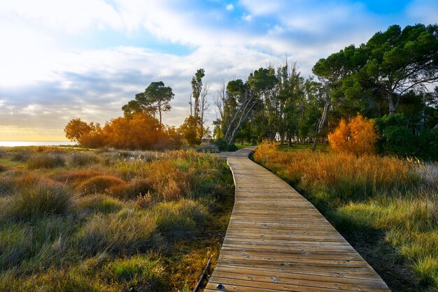 Foto torre la sal strand in castellon