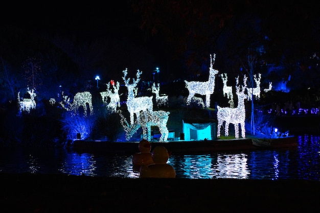 Torrejon de Ardoz Madrid Spain 12 18 2022 Bright illuminated and largest Christmas fair in Spain Festive Christmas decorations with animal lights by night in Torrejon de Ardoz Madrid Spain