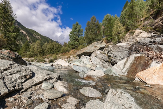 Torrente Grand Eyvia Gran Paradiso Park blauwe lucht witte wolken groene bomen Cogne Aosta Valley