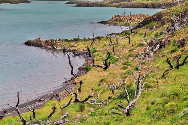 Torres del Paine National Park, Patagonia, Chile