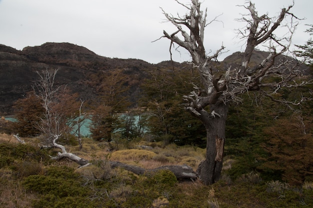 Torres del Paine Natural Park Chile Patagonia
