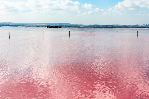 사진 알리 칸테, 스페인의 torrevieja 핑크 호수