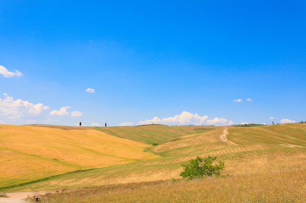 Toscane heuvels landschap, Italië. Landelijk Italiaans panorama.