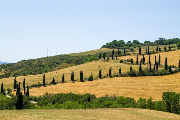 Toscane heuvels panorama zomer uitzicht Italiaans landschap