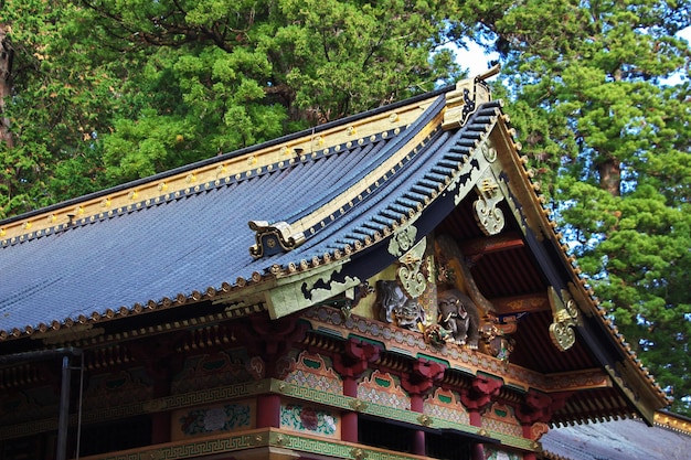 Toshogu-tempel in de herfst Nikko Japan