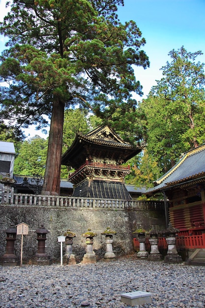 Toshogu temple at autumn Nikko Japan