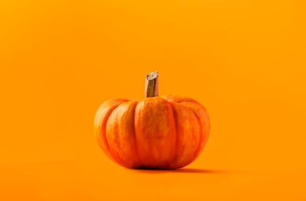 Total orange autumn Halloween Thanksgiving day concept Pumpkins on orange background Monochrome image