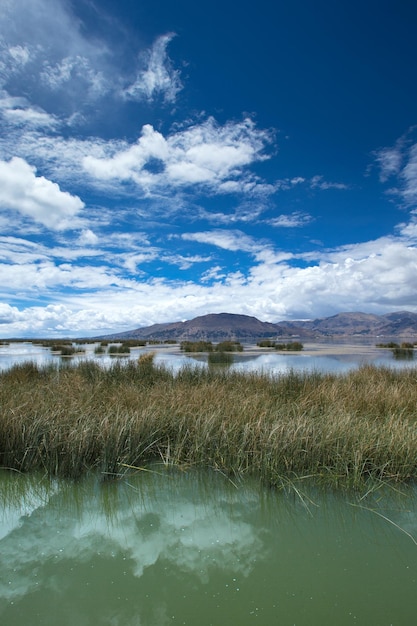 Totora boat on the Titicaca lake near Puno Peru