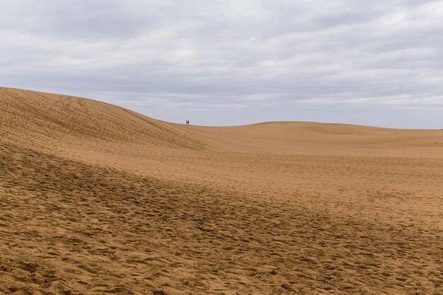 Tottori-duinen in Japan