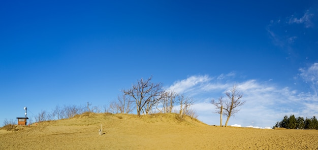 Tottori sand dune