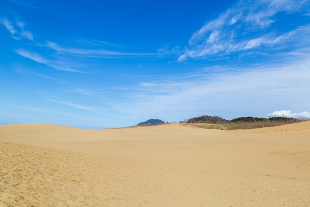 Tottori sand dune