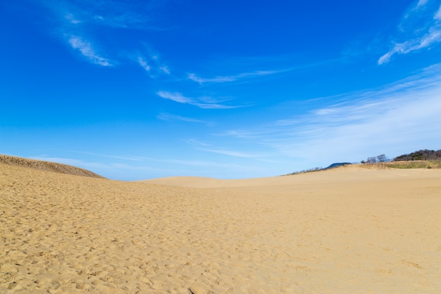 Tottori-zandduin