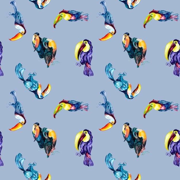 Toucan exotic tropical birds watercolor seamless pattern on white blue