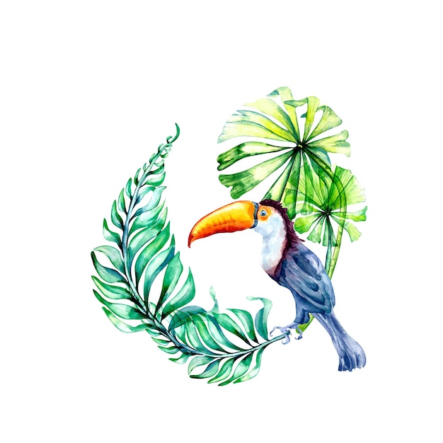 Photo toucan with tropical leaves watercolor illustration on white background