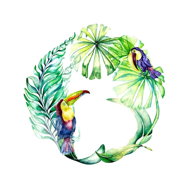 Тукан с тропическими листьями акварельной иллюстрации на белом фоне