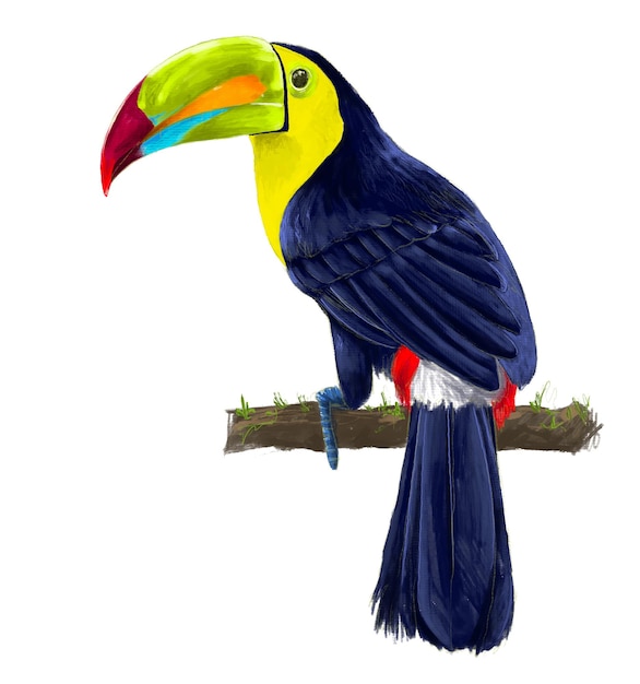 A toucan with a yellow beak sits on a branch.