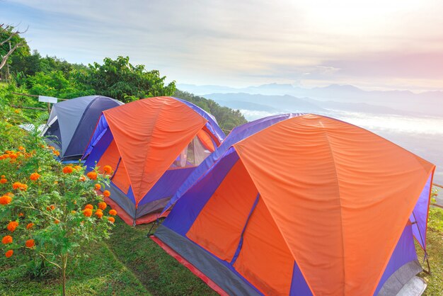 Tour tents camp