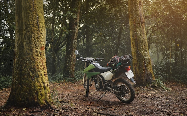 Touring motorcycle in the forest with low lighting.