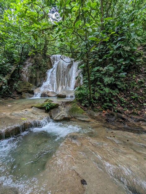 Photo touring river and waterfalls in the mountains of costa rica abrojo