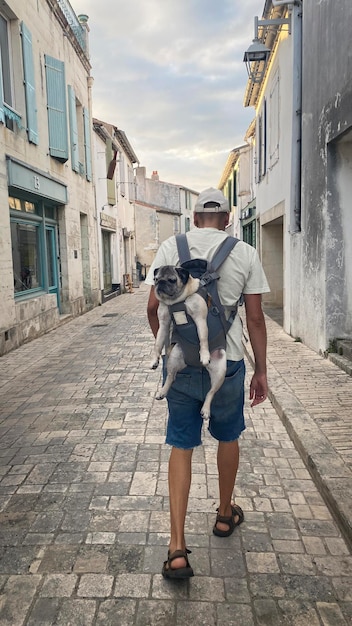 Touring and strolling with the dog inside the backpack