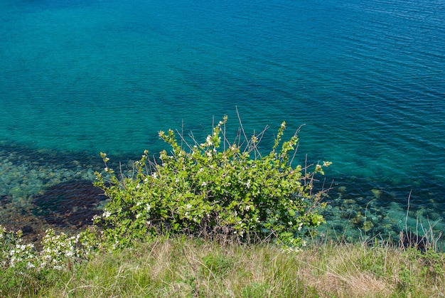 写真 観光と海の旅海で休む