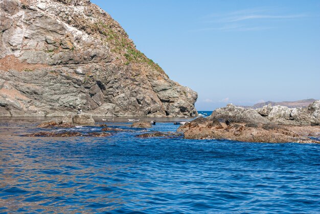 観光と海の旅。海で休む。