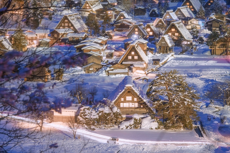 Фотография турист, любуясь mt. фудзи осенью, япония