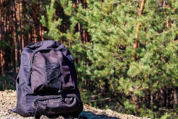 Photo tourist backpack on the glade in pine forest. hike concept