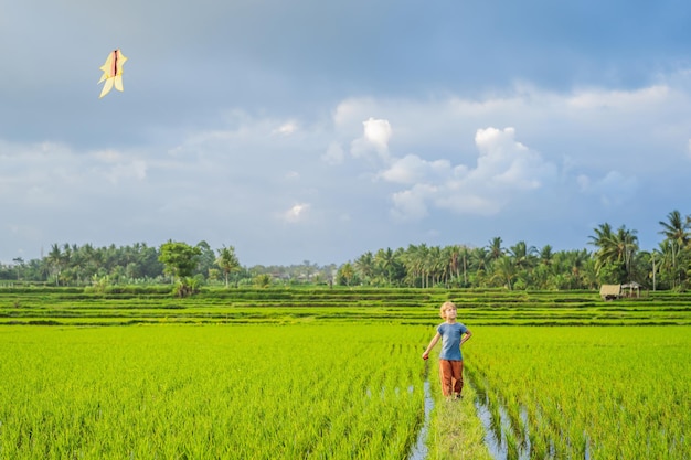 Tourist boy launches a kite in a rice field traveling with children concept kids friendly place