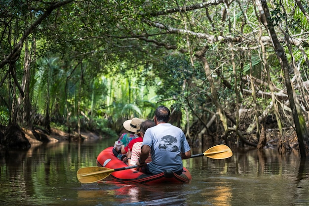 Tourist on canoe visit little amazon or sang nae canal to see\
hidden banyan tree forest, bird, snake, varanus salvator along\
river in phang nga, thailand. famous travel in nature.