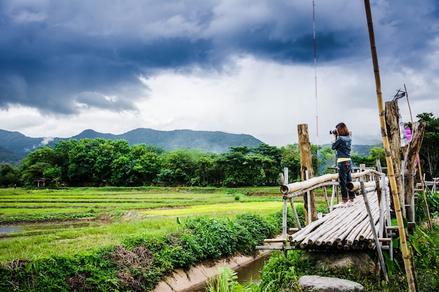 Photo tourist enjoy fresh air of countryside, on wooden bridge in rice field at north of thailand