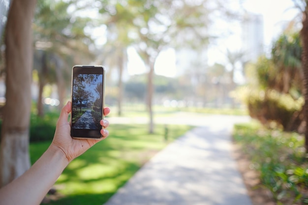 Tourist female hands holding a gadget against a blurry summer background