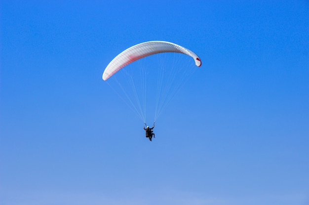 写真 明るい日に青い空のパラグライダーで飛んでいる観光客