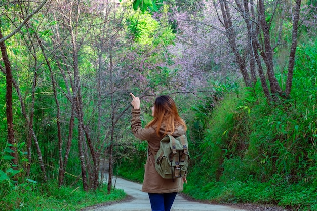 야생 히말라야 벚꽃 나무 배경으로 관광 소녀와 배낭.