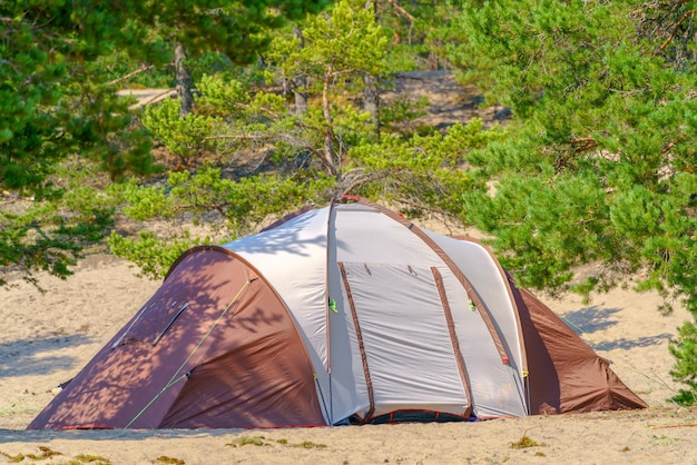 Tourist green tent on the lake Journey to the wild places of nature