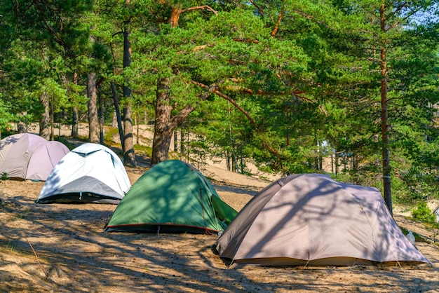 Tourist green tent on the lake Journey to the wild places of nature