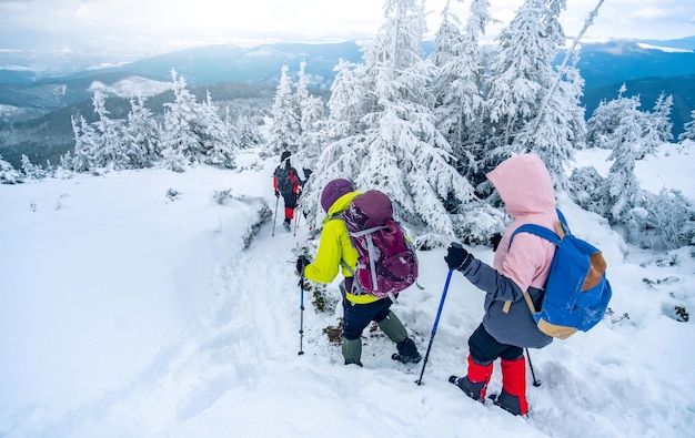 Туристическая группа в снежных горах, треккинг по маршруту