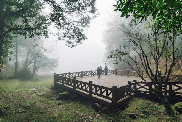 Tourist group standing on Wooden platform with Cedar trees and fog in the background in the forest in Alishan National Forest Recreation Area in winter in Chiayi County, Alishan Township, Taiwan.