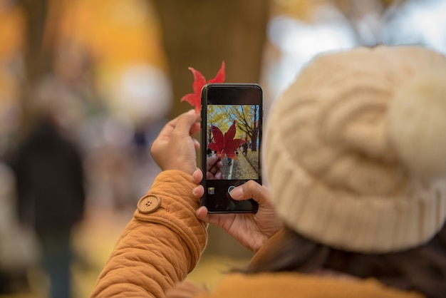 Tourist hand holding mobile phone while taking a photograph of maple leaf in foliage season