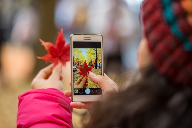 紅葉のカエデの葉の写真を撮りながら携帯電話を持つ観光手。