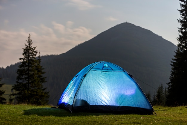 Tourist hikers bright blue tent on green grassy forest clearing among tall pine trees under clear morning sky.