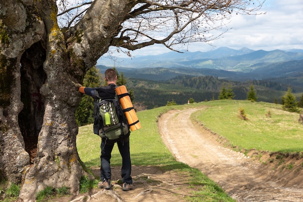 Foto il turista sta studiando una mappa della zona seduta sotto un albero lungo la strada