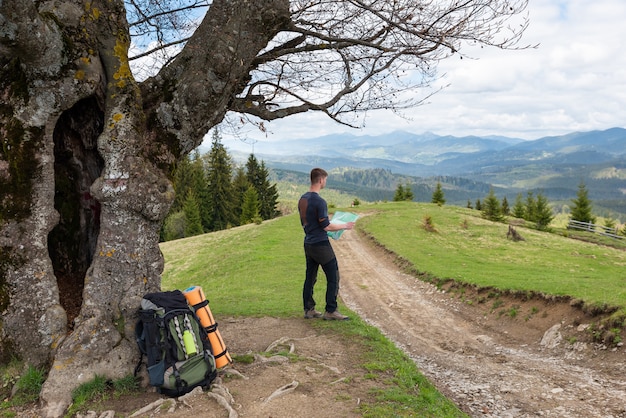 Tourist is studying a map of the area sitting under a tree by the road