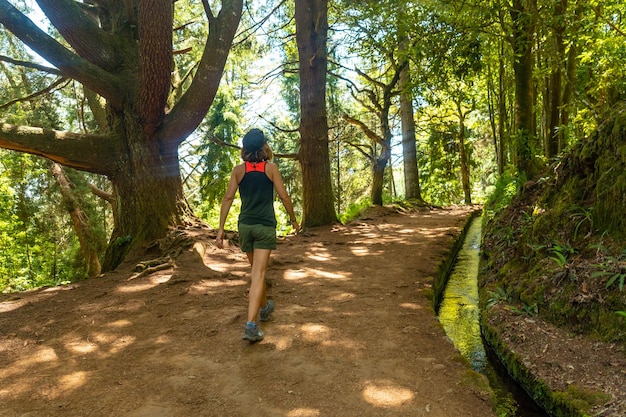 Levada do Caldeirao Verde 트레일의 관광객 Queimadas Madeira Portugal